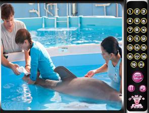 海豚的故事找數字 海豚的故事找數字