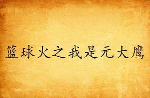 籃球火之我是元大鷹 籃球火之我是元大鷹
