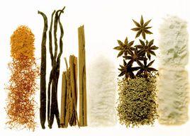 香辛料[調味品]