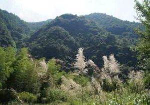 丁家皂戶村 丁家皂戶村