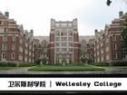 韋爾斯利學院 韋爾斯利學院