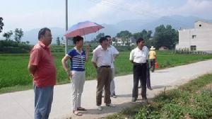 三堰村[陝西省安康市漢陰縣蒲溪鎮三堰村]