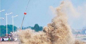 錢江潮下沙 錢江潮下沙