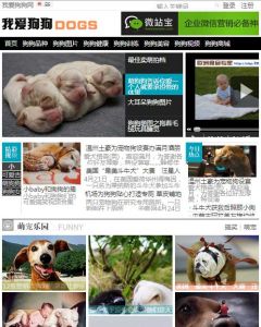 我愛狗狗網 我愛狗狗網