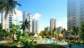 臨高半島陽光 臨高半島陽光