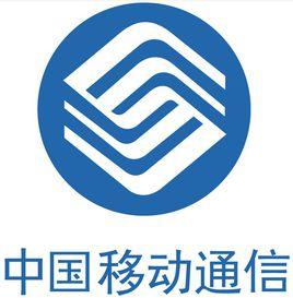 中國移動集團業務 中國移動集團業務