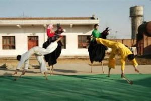 眉縣高蹺趕犟驢 眉縣高蹺趕犟驢