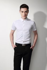 不變形襯衫 不變形襯衫