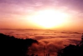 飛鴿子森林公園 飛鴿子森林公園