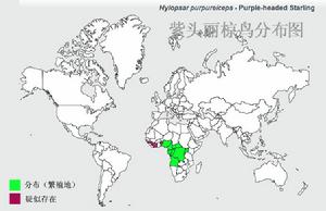 紫頭麗椋鳥分布圖