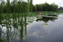 新壩鎮[江蘇省揚中市新壩鎮]