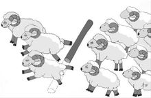 羊群效應