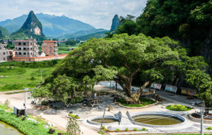 下車樹自然村 下車樹自然村