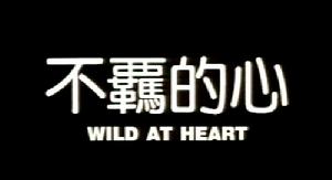 《不羈的心》