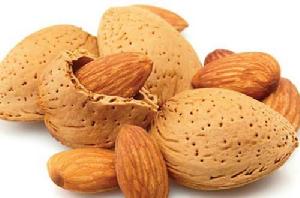 甜杏仁[甜杏仁]