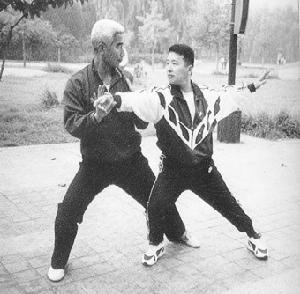 大捋推手~通過推手而不斷提高實戰搏擊能力.