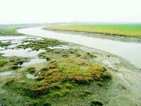 馬鞍山丹陽湖 馬鞍山丹陽湖