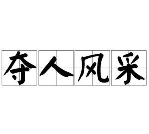 奪人風采 奪人風采