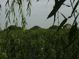 鹹陽五陵原 鹹陽五陵原