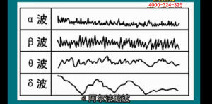 右腦開發音樂 右腦開發音樂