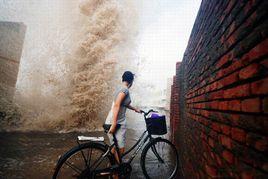 莫拉克颱風 莫拉克颱風