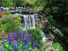 古龍九瀑 古龍九瀑