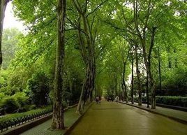 武漢理工大學馬房山校區 武漢理工大學馬房山校區