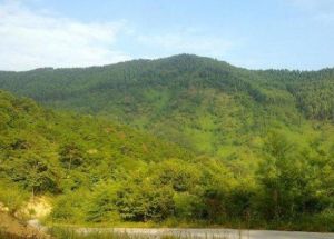 增城金坑森林公園 增城金坑森林公園