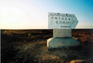 卡拉麥里有蹄類自然保護區 卡拉麥里有蹄類自然保護區