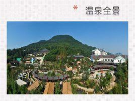 三江森林溫泉 三江森林溫泉