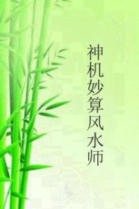 神機妙算風水師 神機妙算風水師