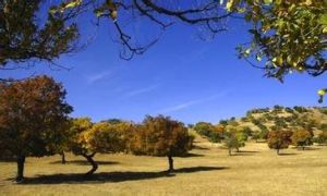 翰嘎利湖生態旅遊景區 翰嘎利湖生態旅遊景區