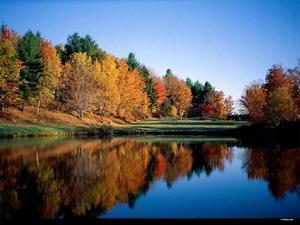 莊子·外篇·秋水 莊子·外篇·秋水