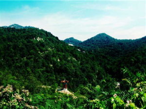 蓮泗盪風景區 蓮泗盪風景區