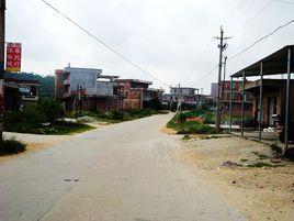 碧嶺村[福建省惠安縣黃塘鎮碧嶺村]