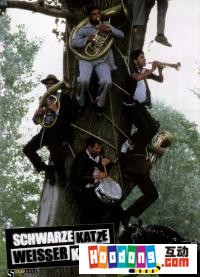 《黑貓白貓》 《黑貓白貓》