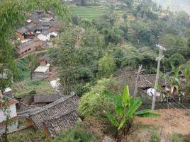 團山自然村[雲南臨滄臨翔區南美鄉南美村委會團山自然村]