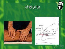 浮髕試驗 浮髕試驗