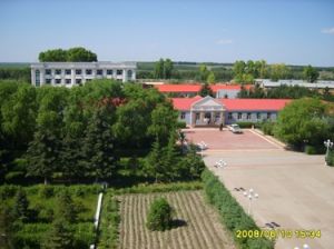 東海孝婦 東海孝婦