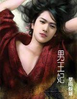 男王妃 男王妃