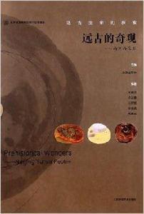 遠古生命的探索·遠古的奇觀:南京雨花石 遠古生命的探索·遠古的奇觀:南京雨花石