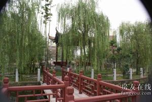 和興龍柏公寓 和興龍柏公寓