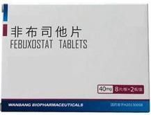 非布司他片 非布司他片