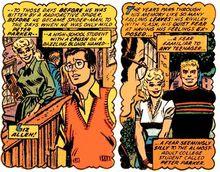 利茲&middot;艾倫