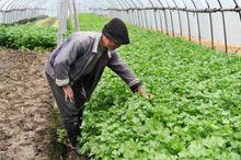 三圍村[浙江省杭州市蕭山區益農鎮三圍村]