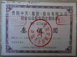 社會公眾股 社會公眾股