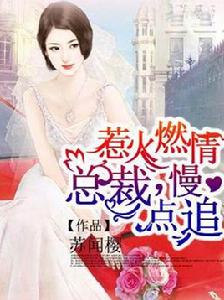 惹火燃情總裁慢點追 惹火燃情總裁慢點追