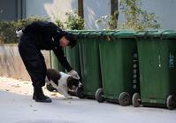 合肥碎屍案 合肥碎屍案