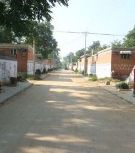 小苴青村 小苴青村