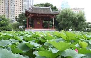 福州茶亭公園 福州茶亭公園